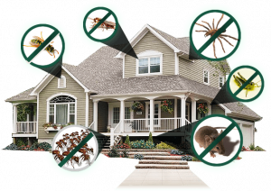 Pest Control For Residential Properties