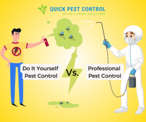 DIY Pest Control Vs Professional Pest Control