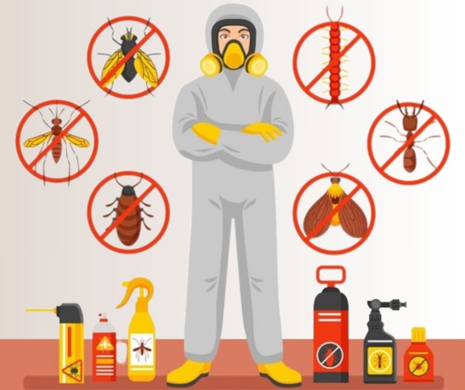 Pest Control Service Mumbai