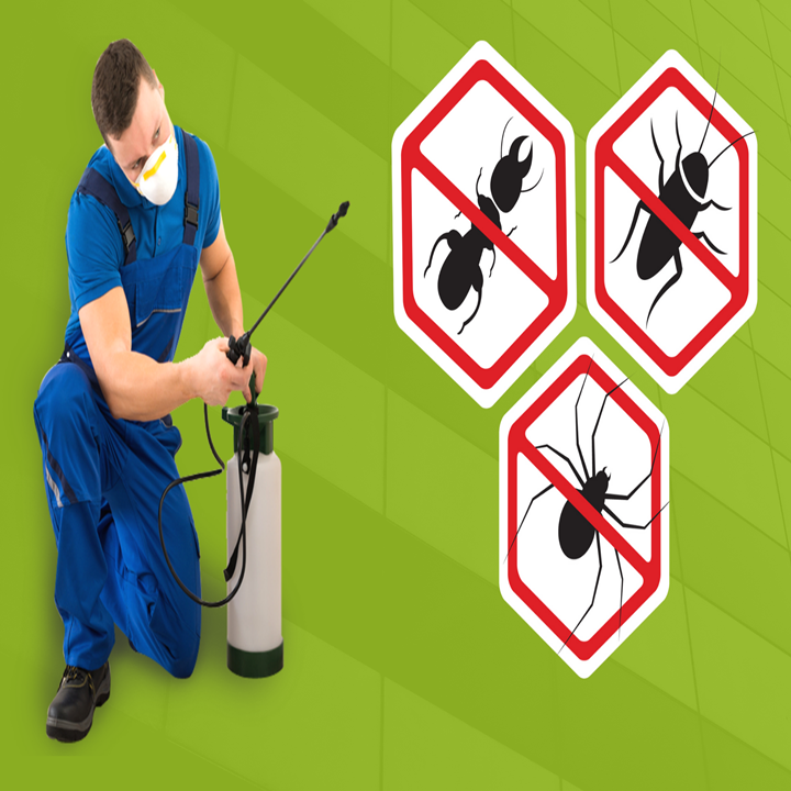 Quick Pest Control Services